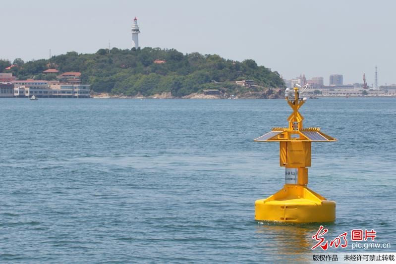 首批浮标式海洋环境监测系统在烟台“上岗”
