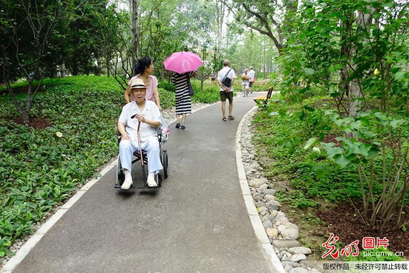 北京东城首个城市森林公园开放