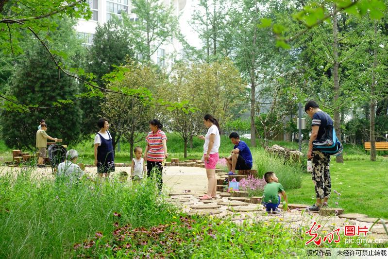 北京东城首个城市森林公园开放
