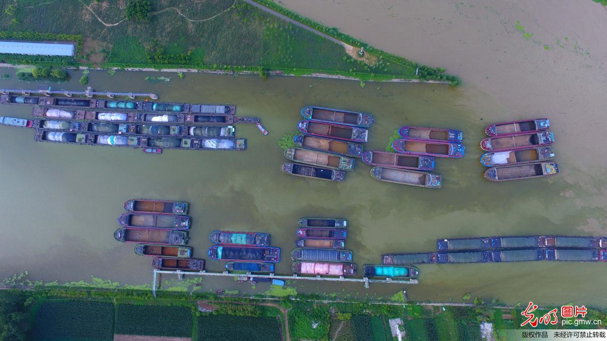 京杭运河山东台儿庄段水位上涨 全线禁航