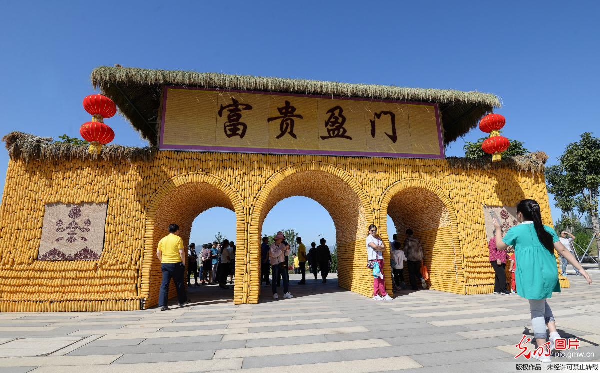 【网络中国节】河北峰峰举办首个“中国农民丰收节”主题活动