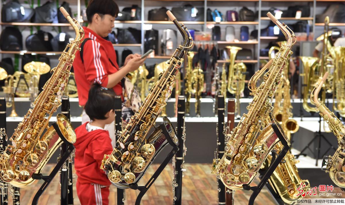 2018中国（上海）国际乐器展览会举行