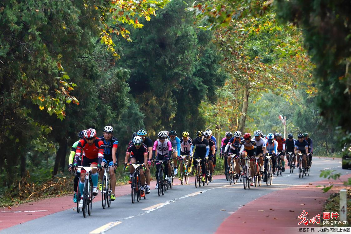 300多名骑手竞技环洪泽湖骑行赛