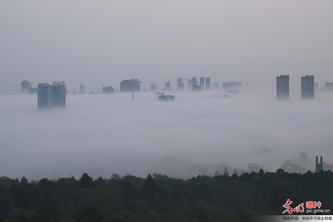 江苏大雾来袭