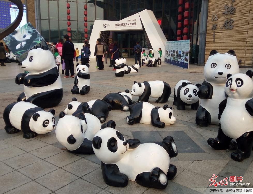 秦岭大熊猫文化主题展在西安举行