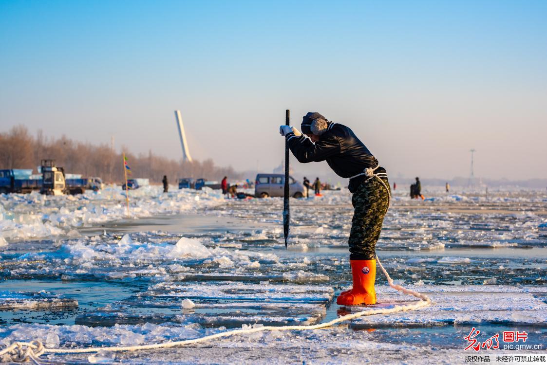 第二十届哈尔滨冰雪大世界拉开采冰大幕