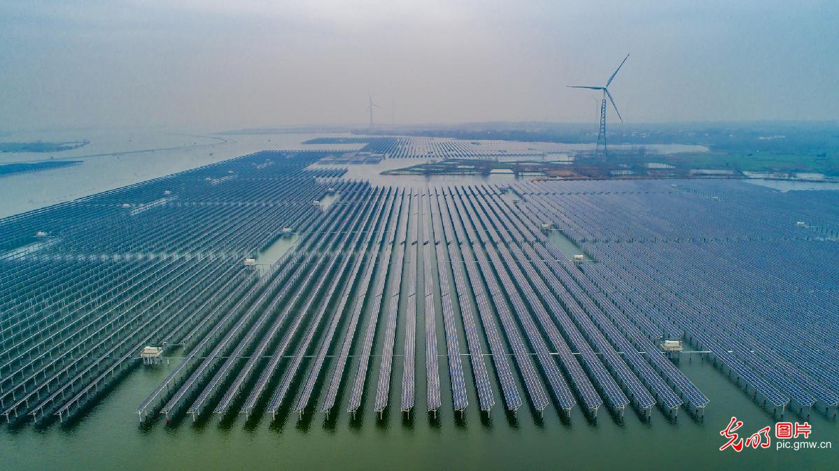 江苏泗洪：新能源年发电量突破5亿千瓦时