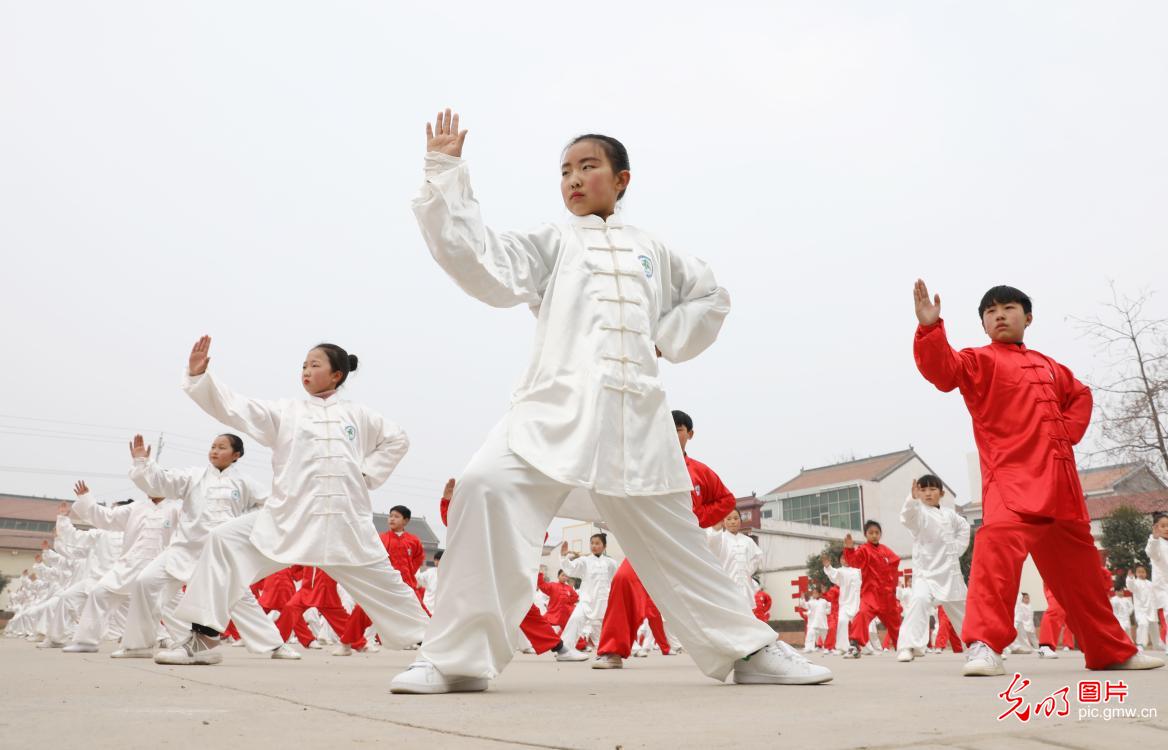 太极拳如何传承和推广 photo.gmw.cn