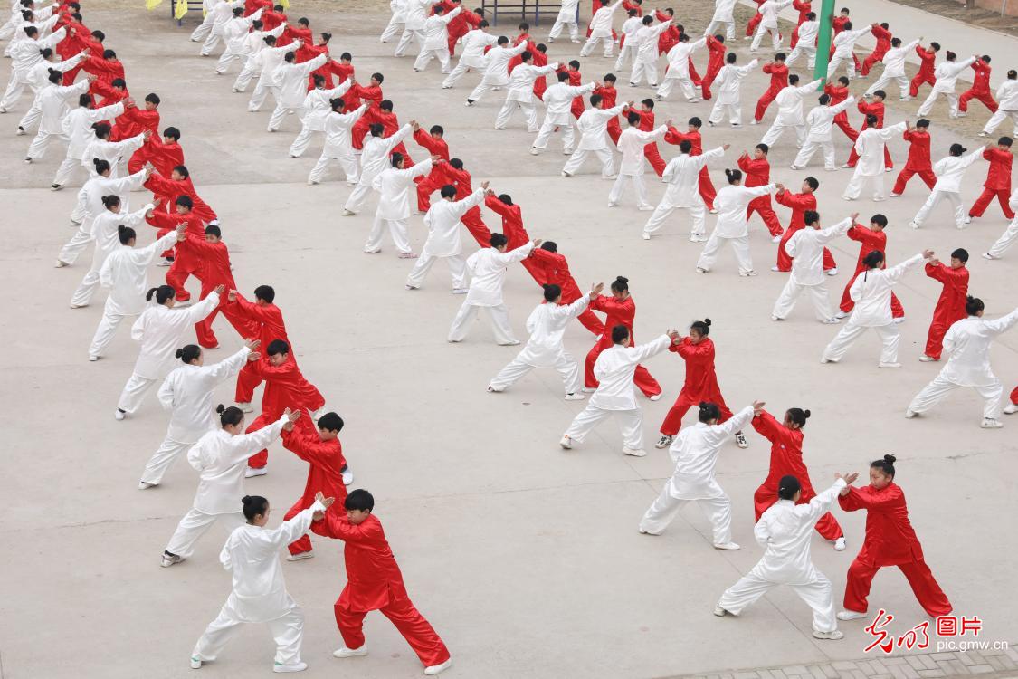传承国粹 “武”动校园