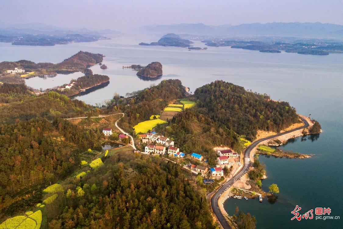 2019年4月5日,安徽省六安市舒城县万佛湖碧波荡漾,岸边的油菜花和青山