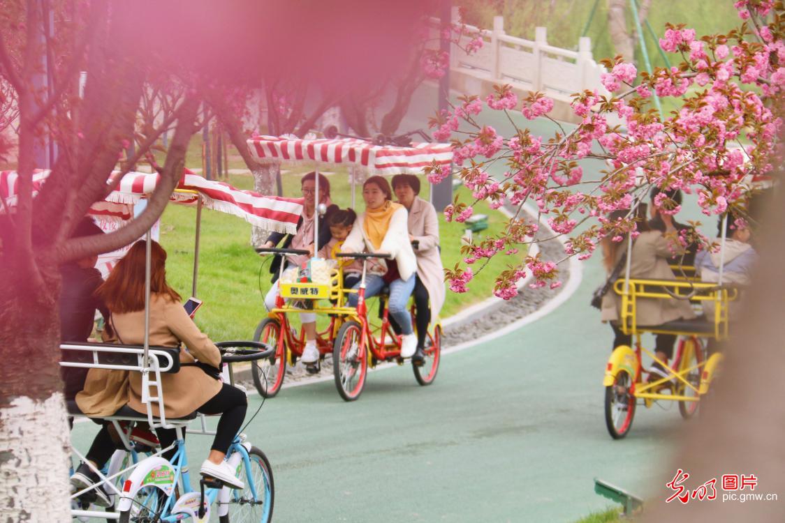 江苏盐城：赏花踏青享春色