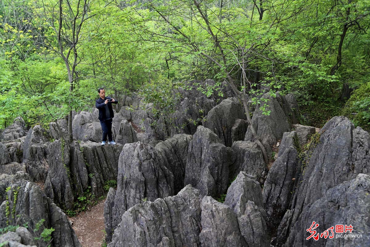 安徽淮南八公山：古时名人辈出 今日景美如画