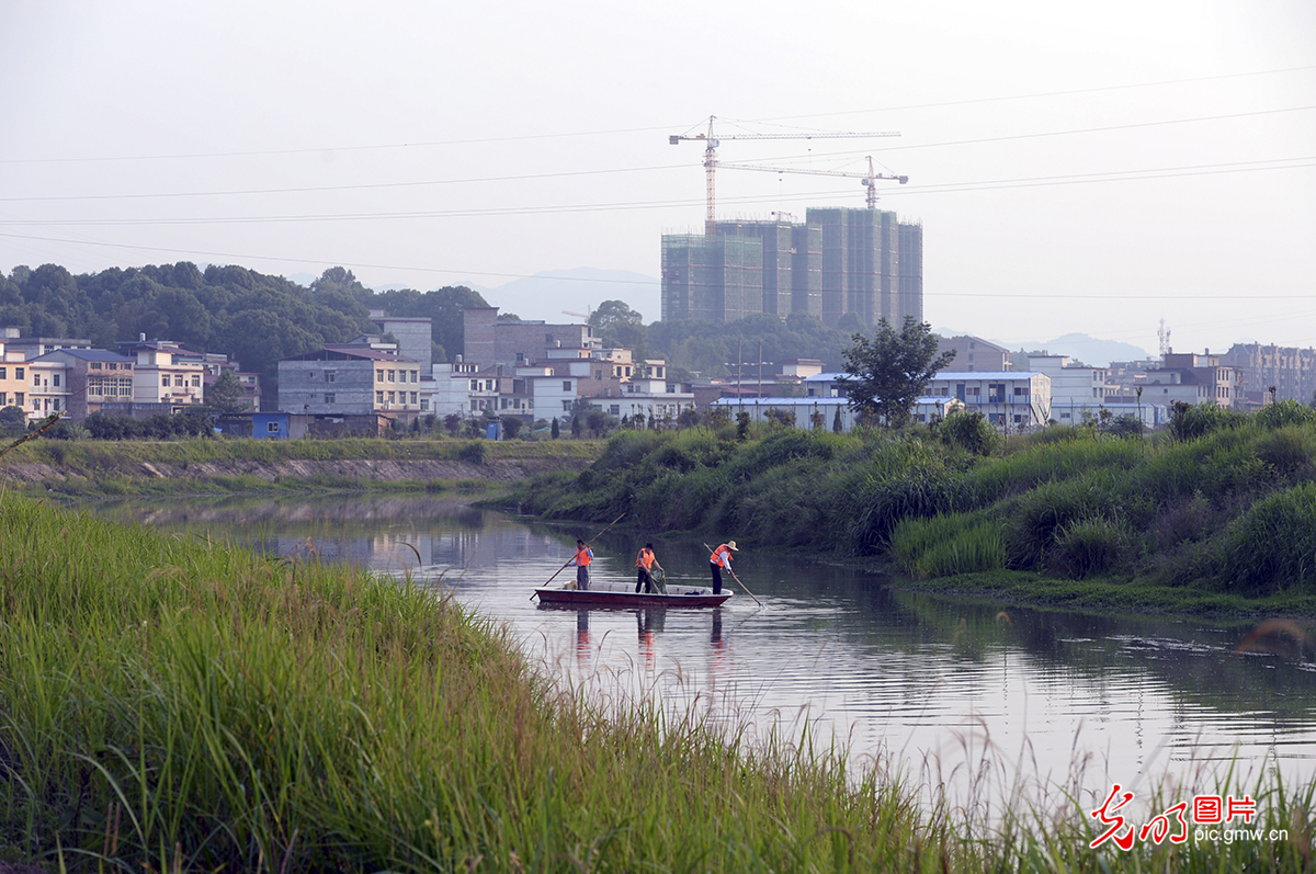 江西上栗：河道清理保护生态