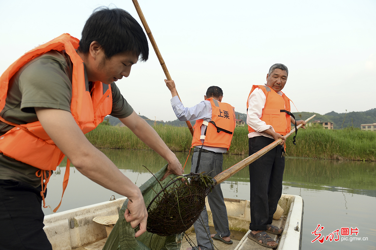 江西上栗：河道清理保护生态