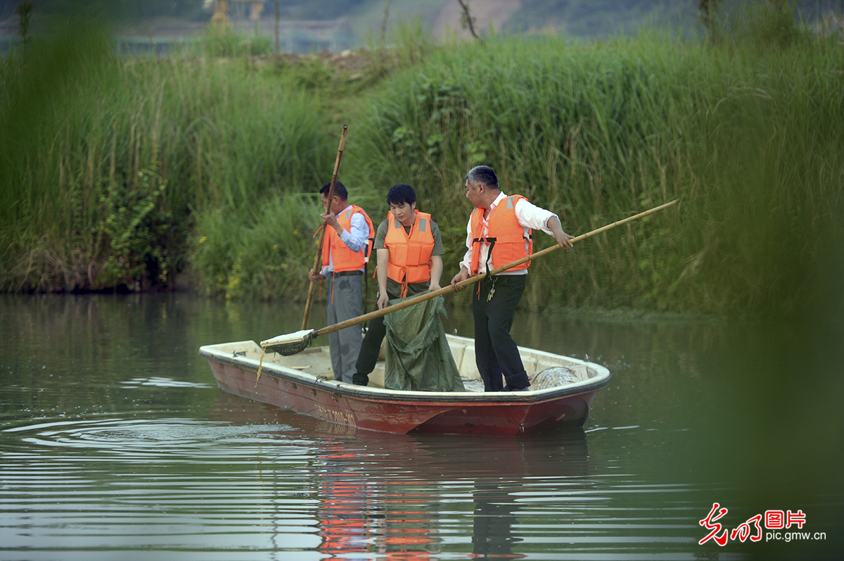 江西上栗：河道清理保护生态