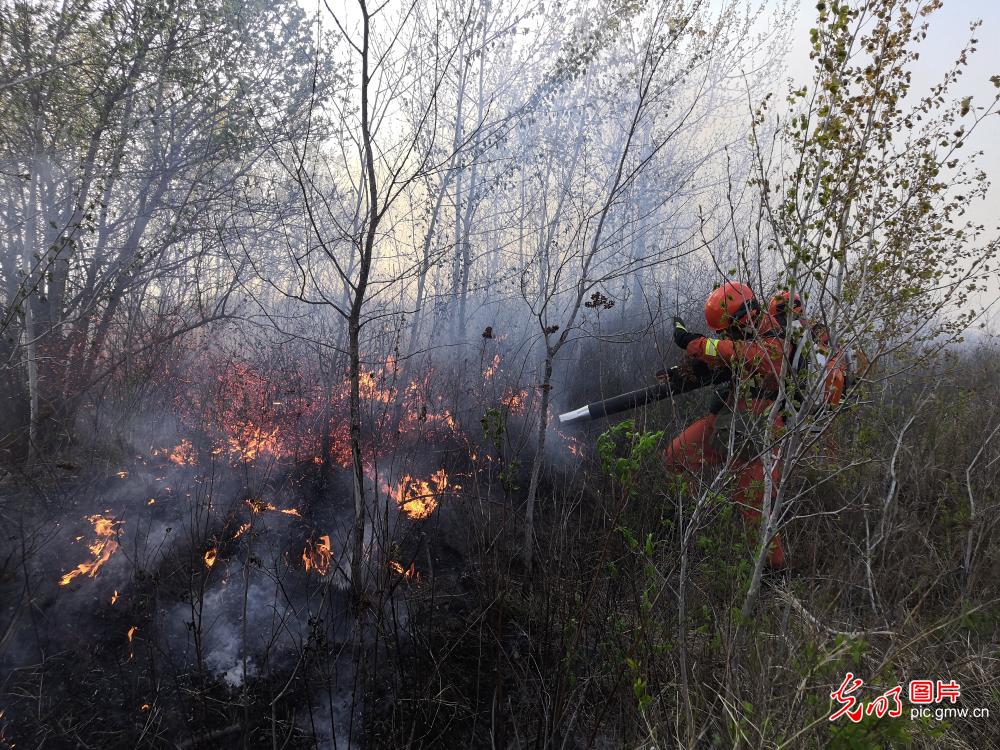 佳木斯森林消防支队成功扑救保护区火灾