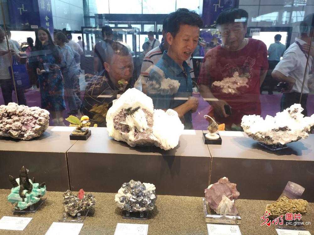 第七届矿博会在湖南郴州开幕
