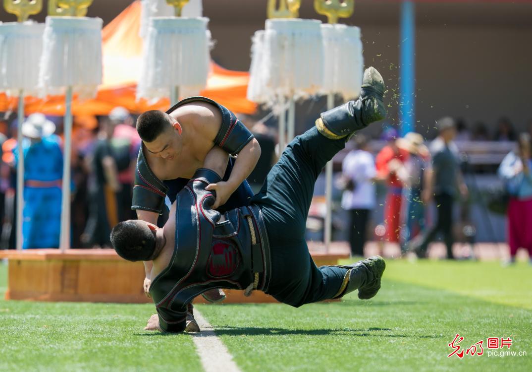 呼和浩特:民族校园里的激情那达慕 呼和浩特:民族校园里的激情那达慕