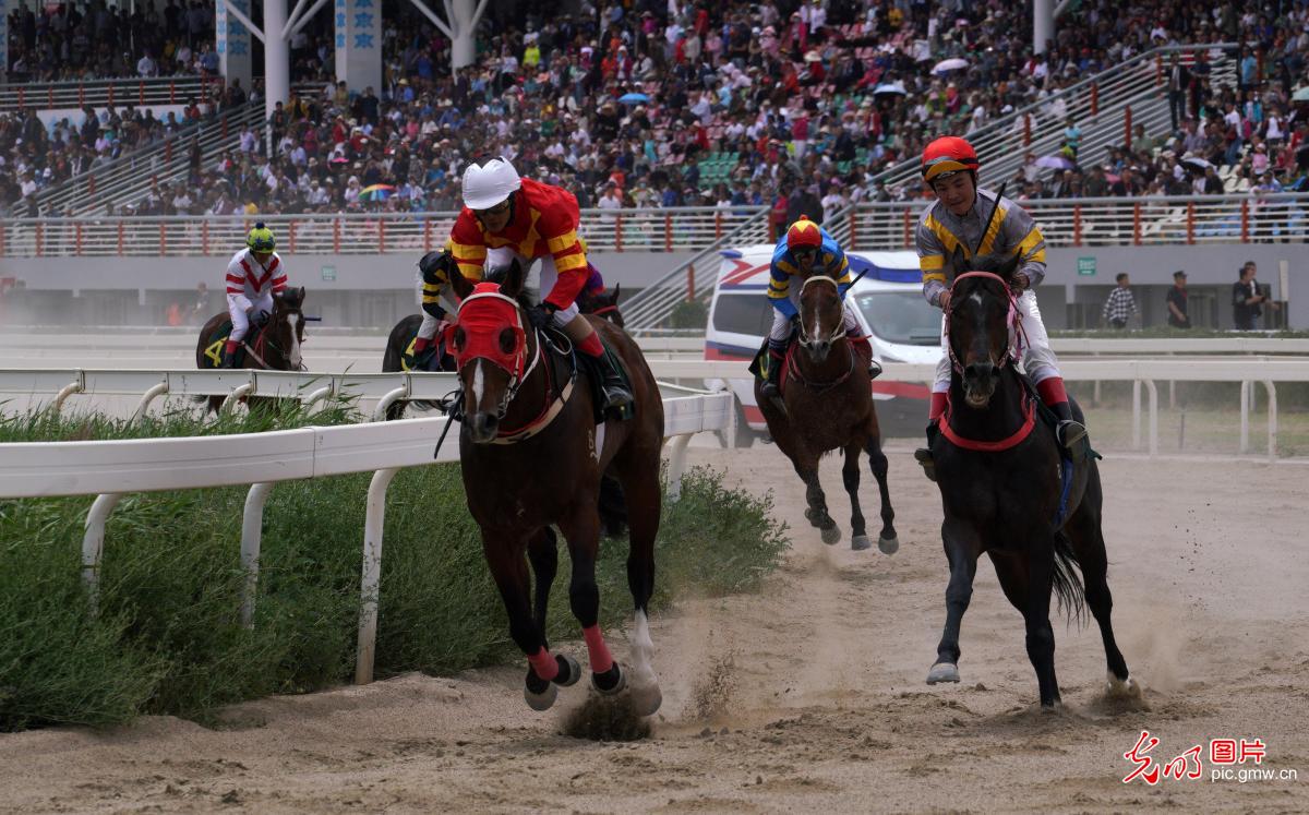 2019中国速度赛马（库尔勒站）开赛