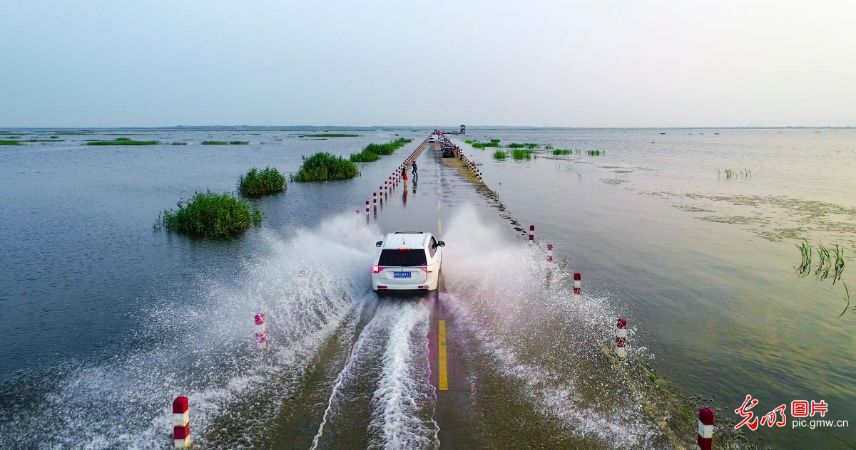 鄱阳湖水位上涨 “水上公路”引游客排长队赏景