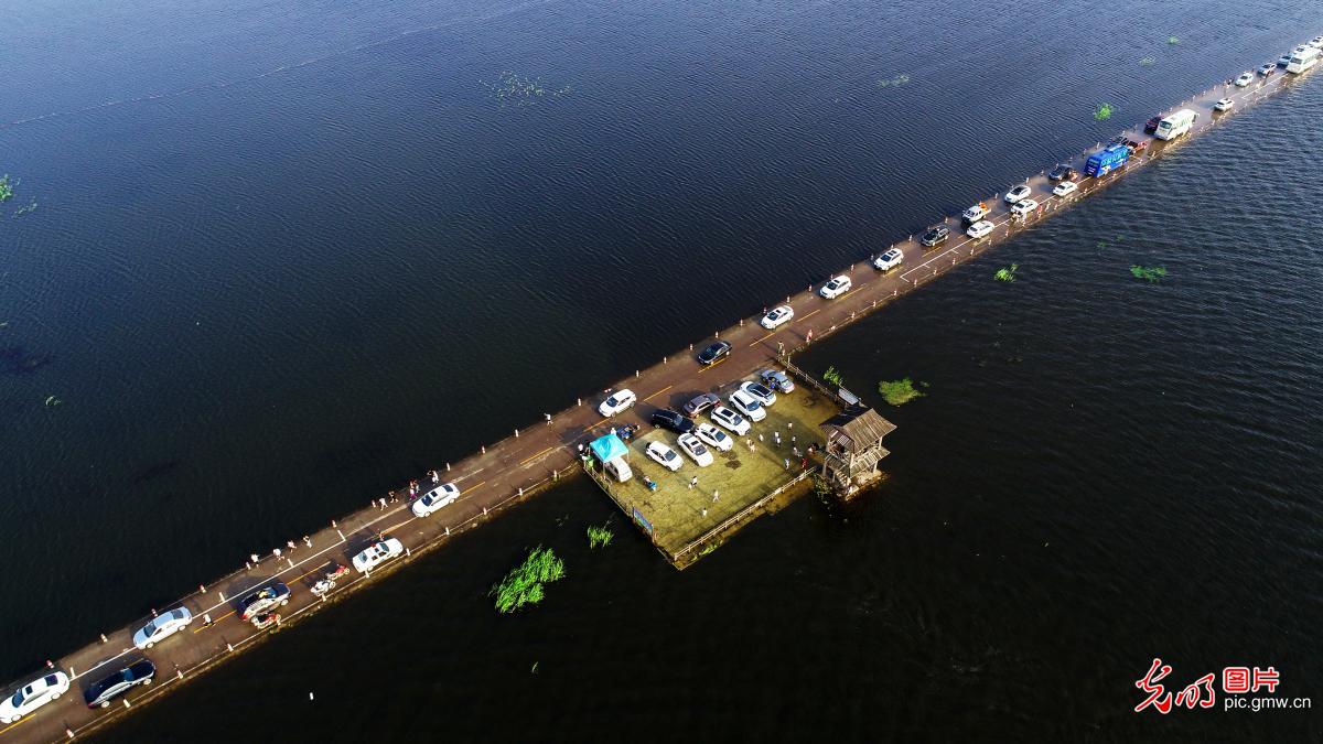 鄱阳湖水位上涨 “水上公路”引游客排长队赏景