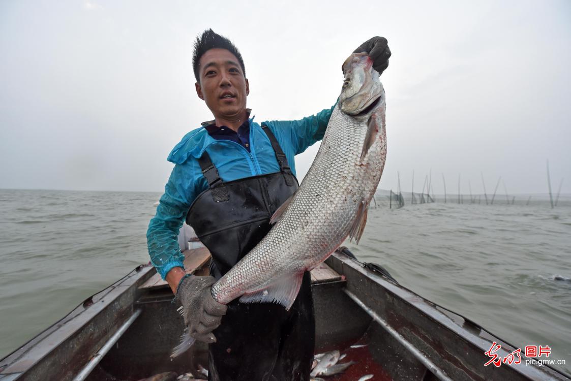 骆马湖开捕首日 鱼虾满仓迎丰收