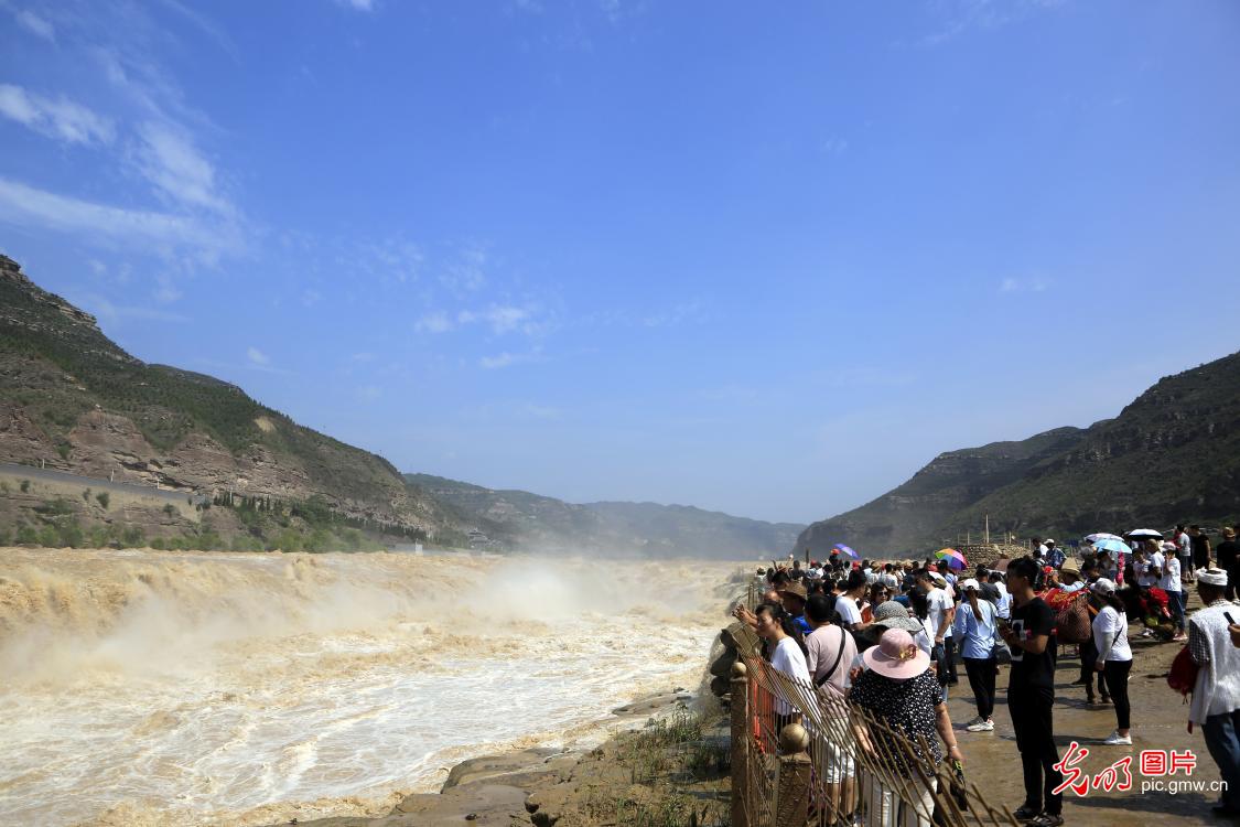 黄河壶口瀑布水量增大 再现百米长瀑布群