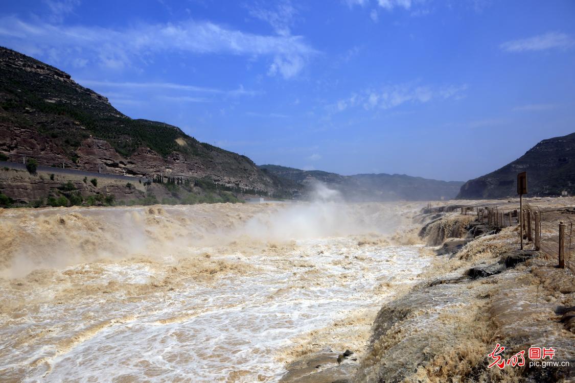 黄河壶口瀑布水量增大 再现百米长瀑布群