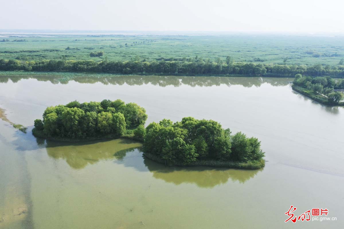 【携程攻略】泗洪泗洪洪泽湖湿地景点,湿地很大，芦苇迷宫风景很好，互动体验感一般