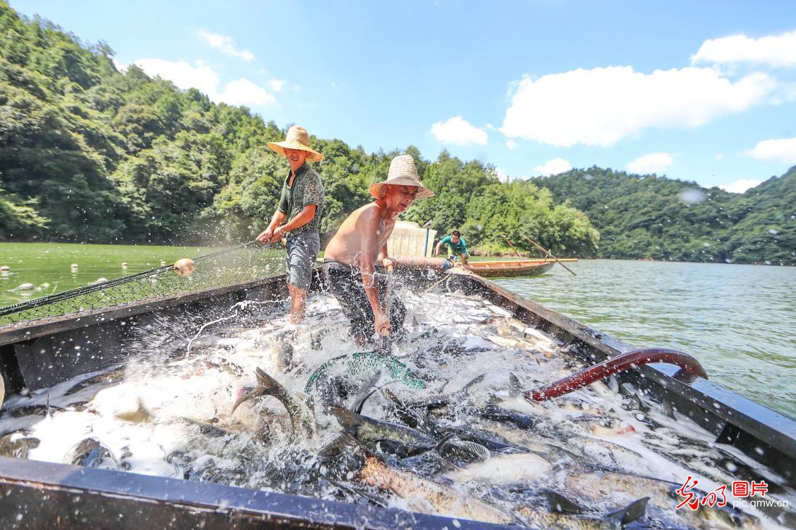 江西广昌：生态养殖助增收