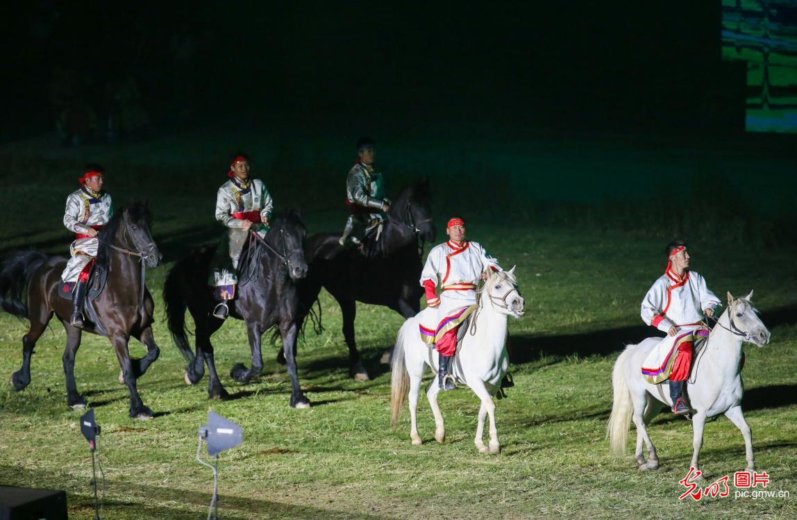 首届内蒙古国际马文化博览会开幕