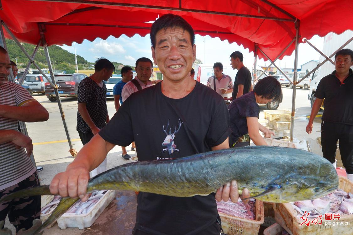 山东青岛：首船黄海渔获靠岸供应市场