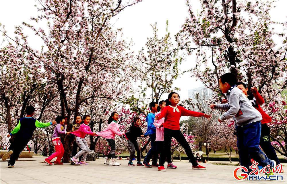 “我眼中的新北京”主题摄影征集活动二等奖作品：《重回童年》