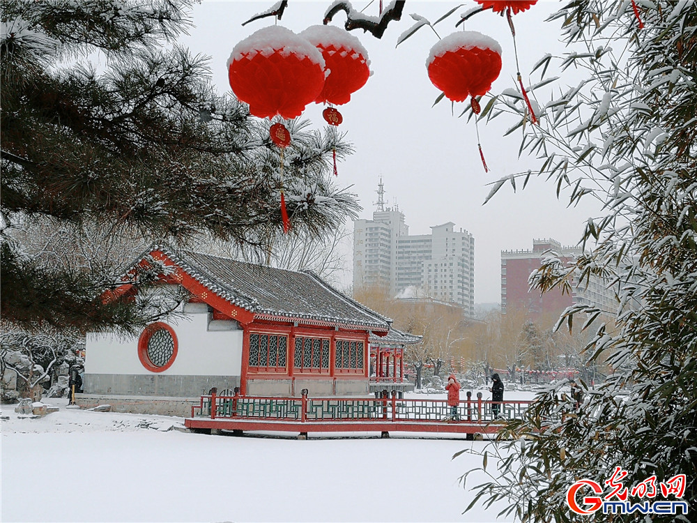 “我眼中的新北京”主题摄影征集活动优秀奖作品：《瑞雪银装映京城》