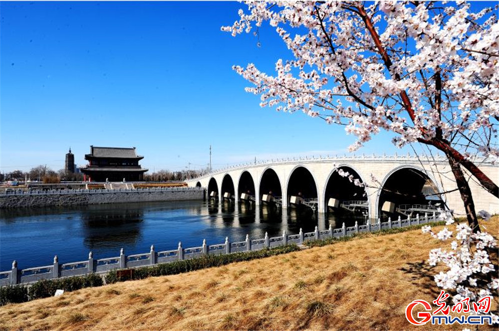 “我眼中的新北京”主题摄影征集活动优秀奖作品：《春到运河花儿美》