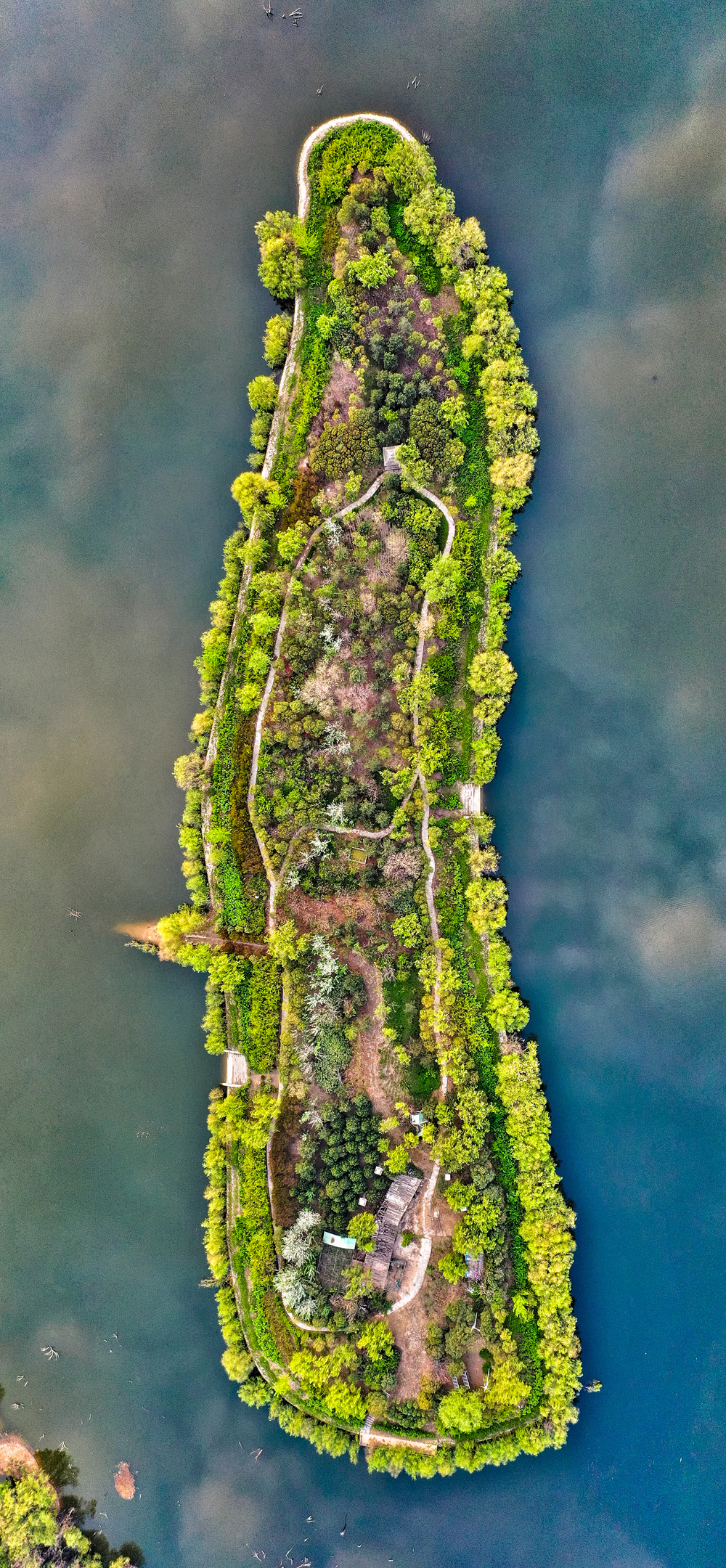 绿色浐灞——灞水润长安