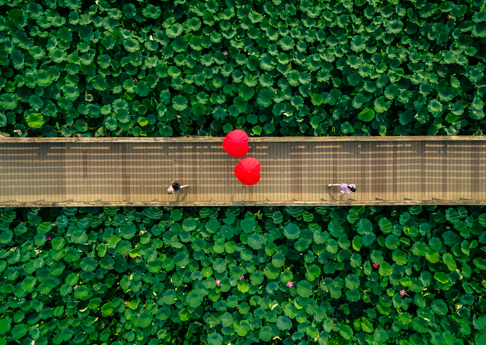 相逢浐灞——相逢古今 遇见未来