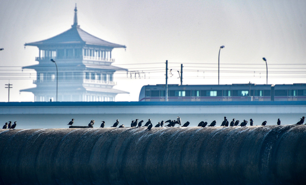 追梦浐灞——千年古都邂逅浪漫 追梦浐灞——千年古都邂逅浪漫