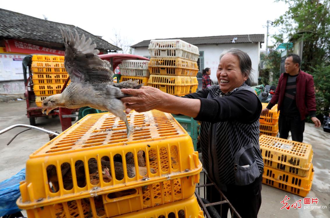 合作养殖拓宽精准扶贫路