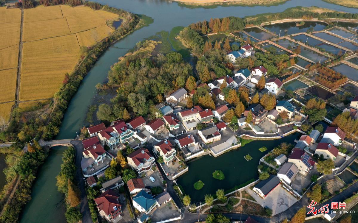 浙江长兴水清村美入画来