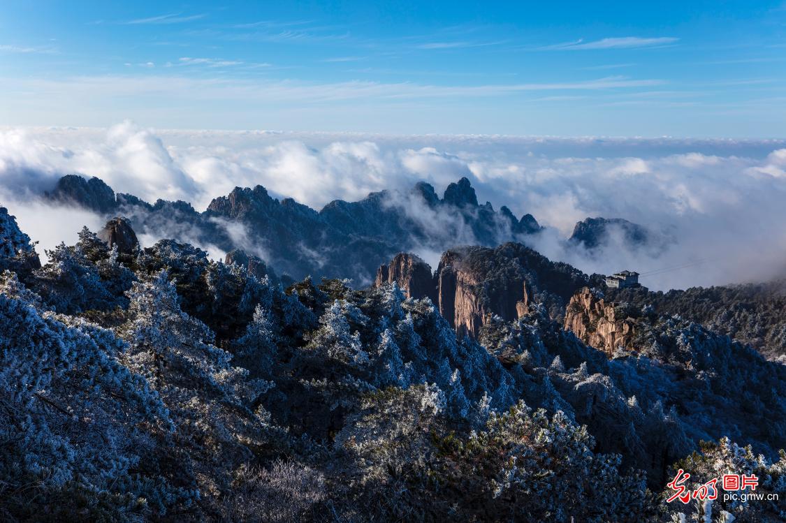 雪后黄山惹人醉