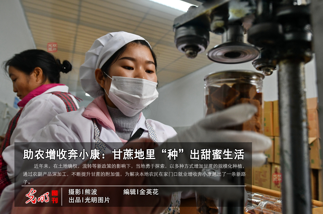 【光明图刊】助农增收奔小康：甘蔗地里“种”出甜蜜生活