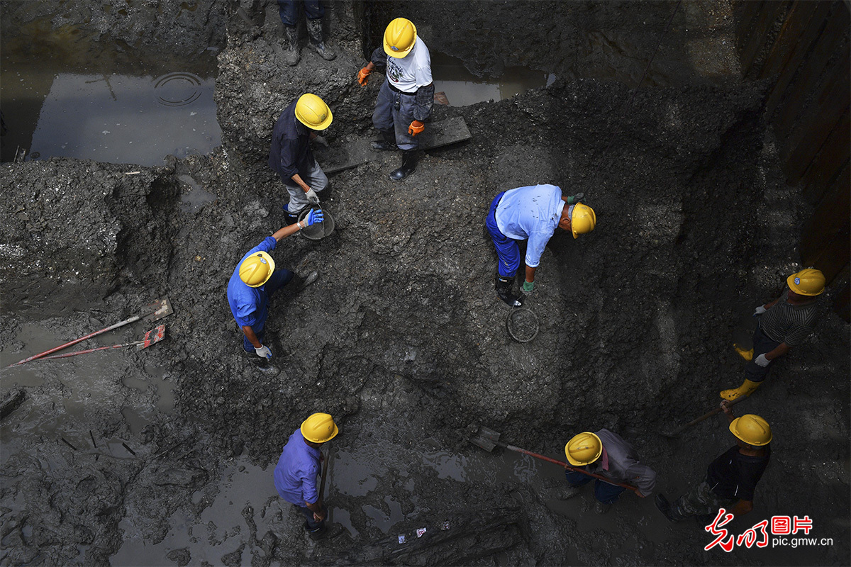 浙江考古新发现 首个贝丘遗址距今八千年