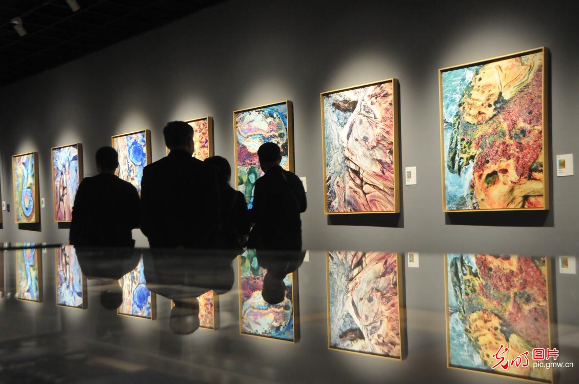 首届海峡两岸影像文化周系列展览在浙江美术馆开幕