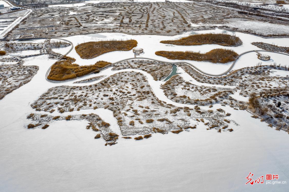 甘肃张掖：国家湿地公园雪景如画