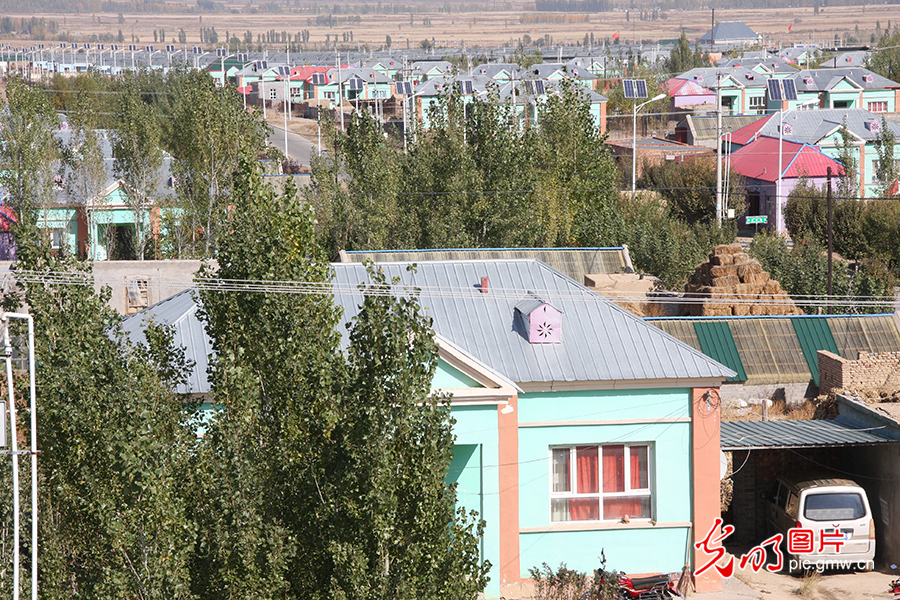 新疆察布查尔县：棚圈养殖让农民过上好日子