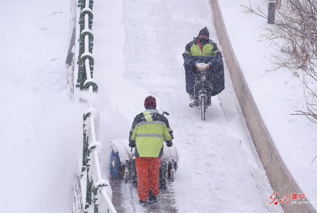 哈尔滨迎降雪 环卫部门积极应对保畅通