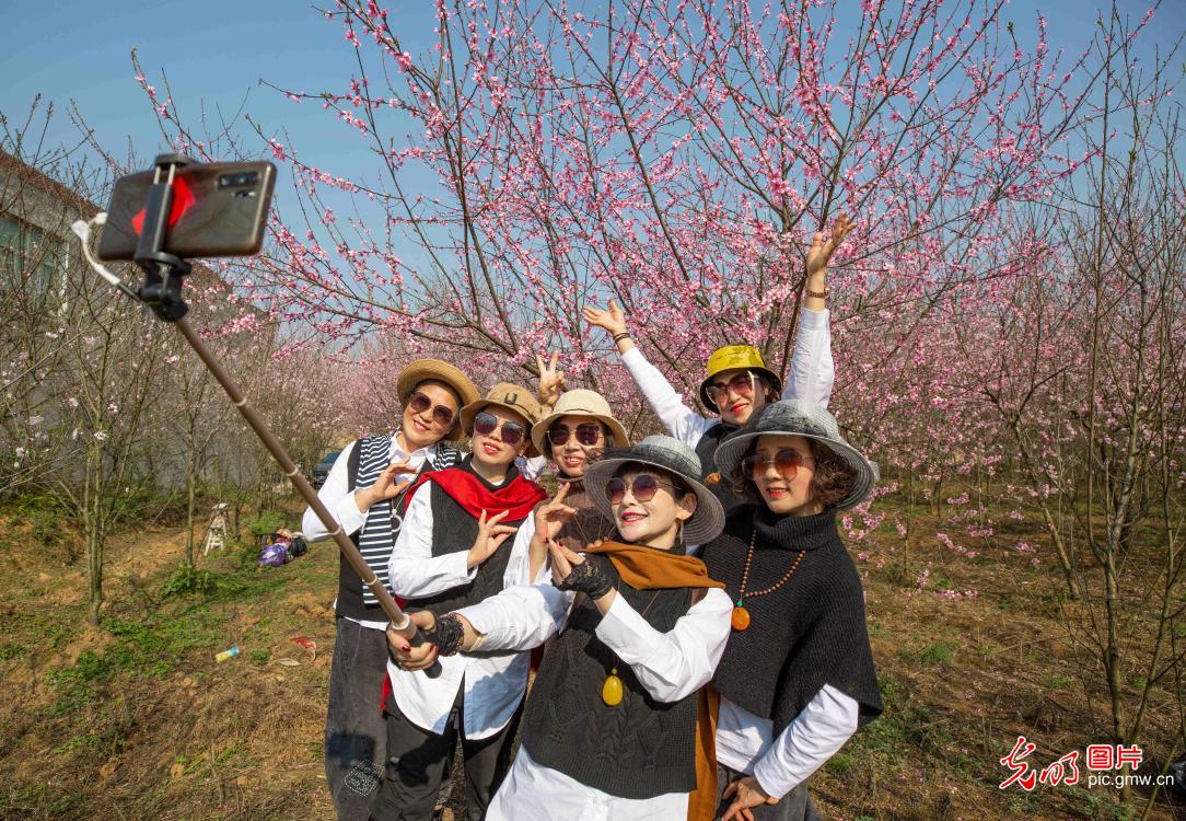贵州黔西：桃花盛开游人乐