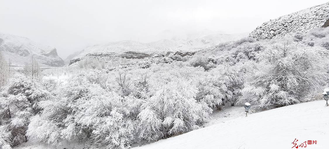 甘肃肃南：裕固家园银装素裹尽显雪域高原之美