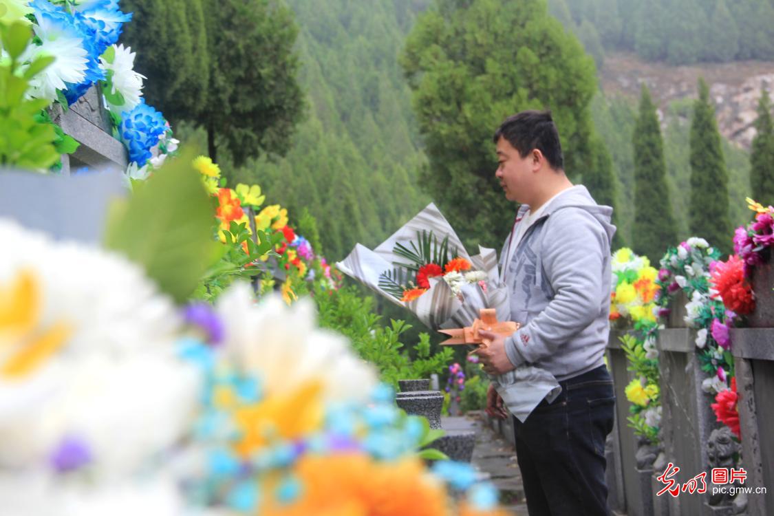 绿色清明 鲜花祭祀